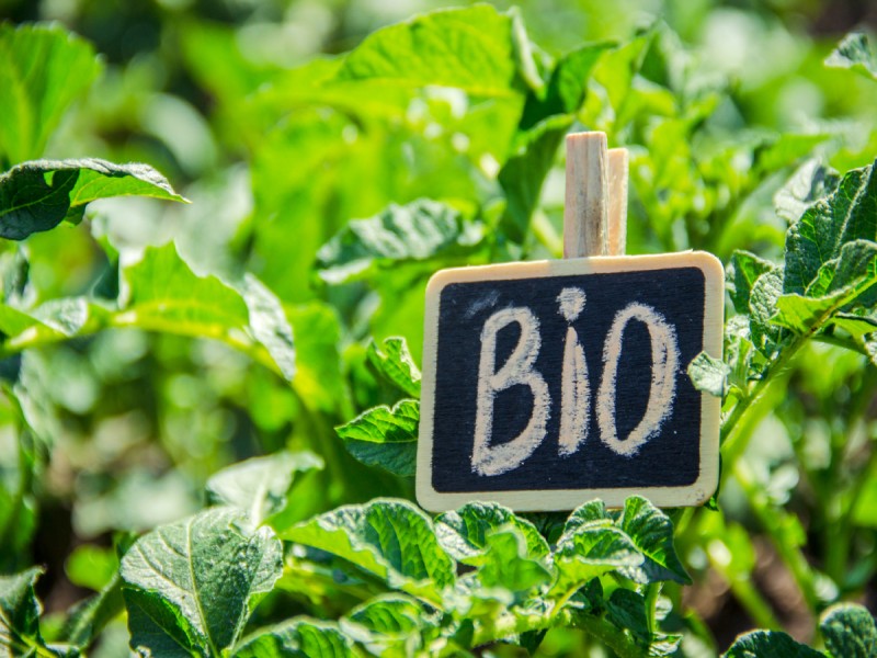 Why organic farming is becoming increasingly important for a sustainable future