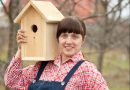 hoe bouw ik een vogelhuisje